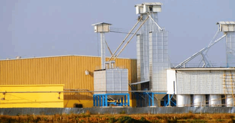 Rice Mill Machine Price In India – A Comprehensive Guide for 2025