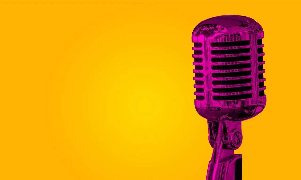 Unlocking the Potential of Reddy Anna ID: A Comprehensive Guide for Modern Professionals